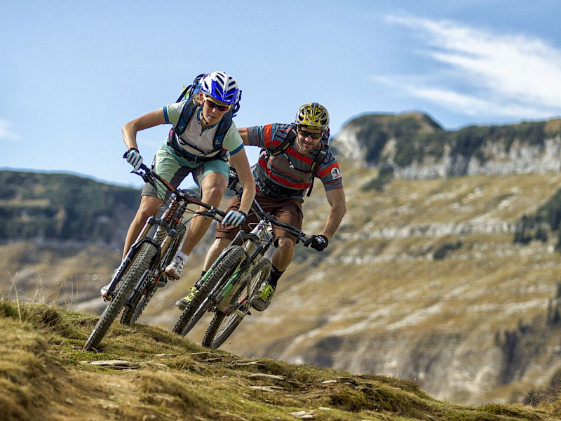 Bild mtb_schmittenstein_c_salzburgerland.800x600.jpeg